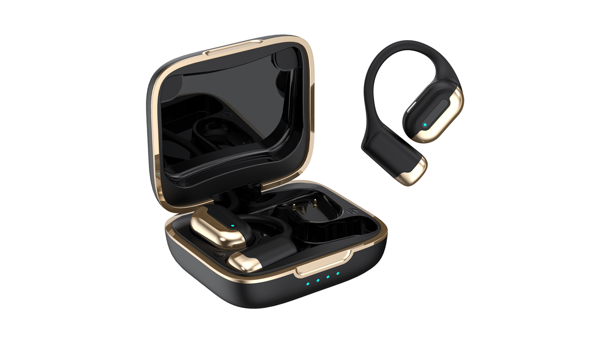 OWS Earphones