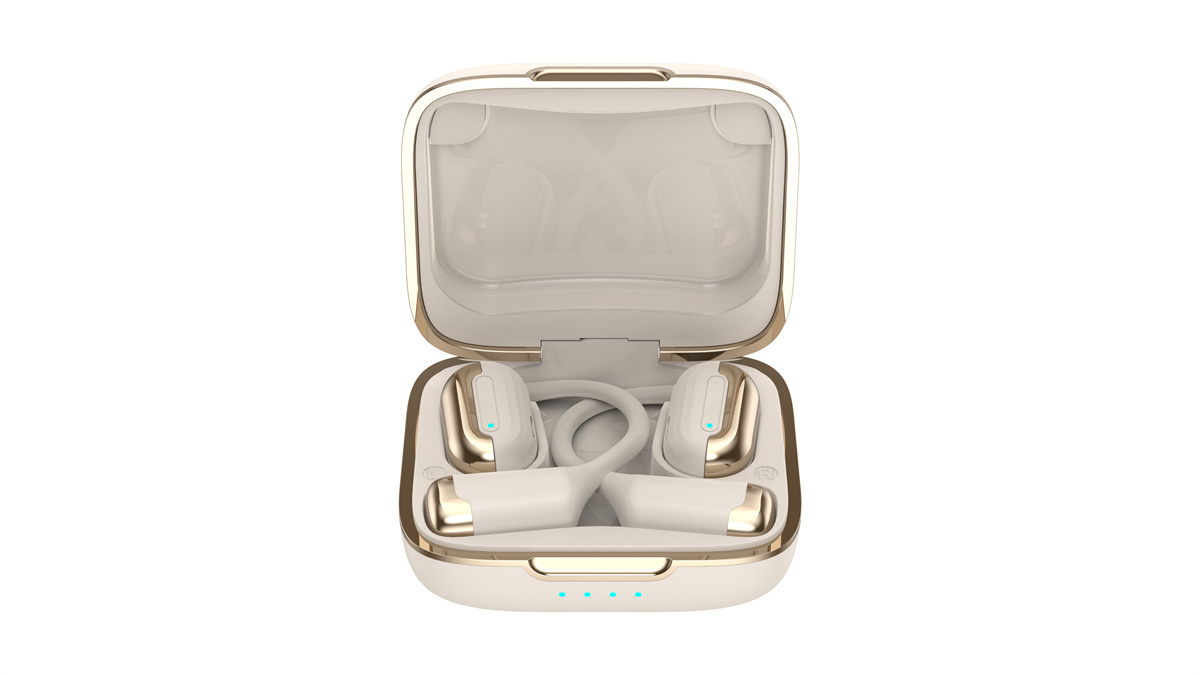 OWS Earphones