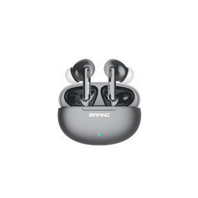 ANC ENC dual mic TWS earbuds