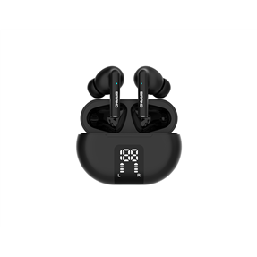 ANC ENC dual mic TWS earbuds