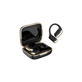 OWS Earphones